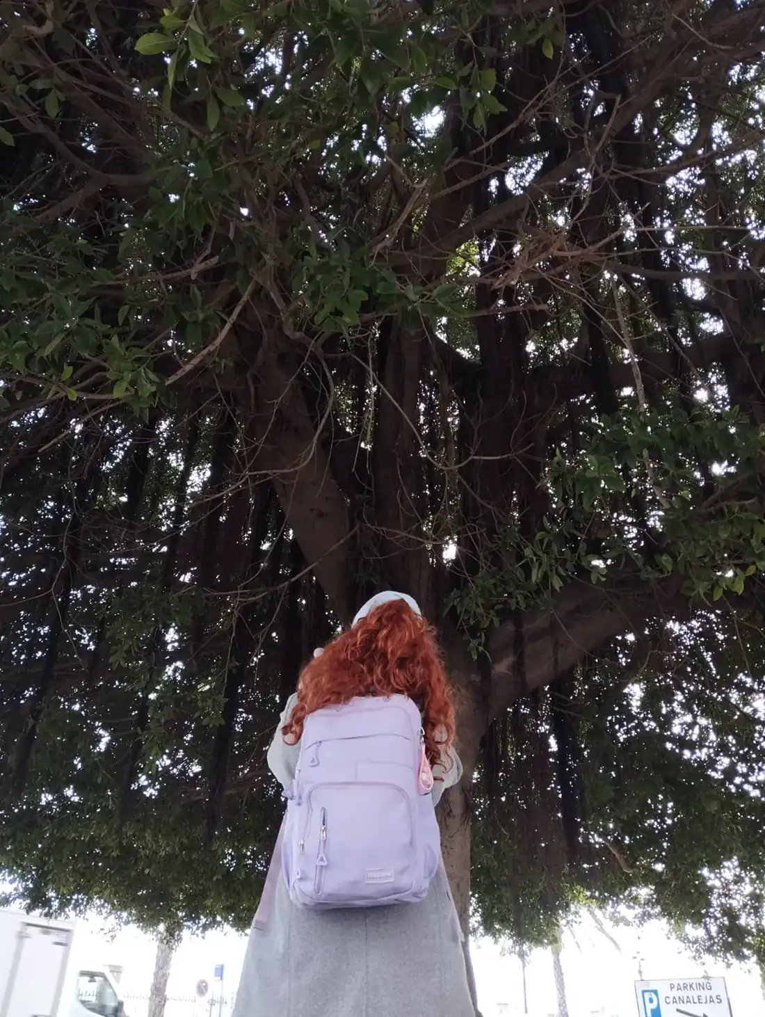 Naturaleza y conexión